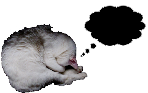 cupcake the cat dreaming of a mouse pointer