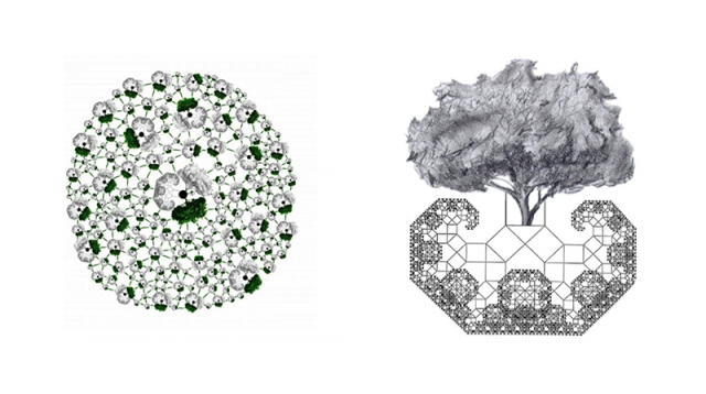 The vast field of possible forms as designed by Math Artist John Sims (“Cellular Forest” and “Square Root of Tree”)